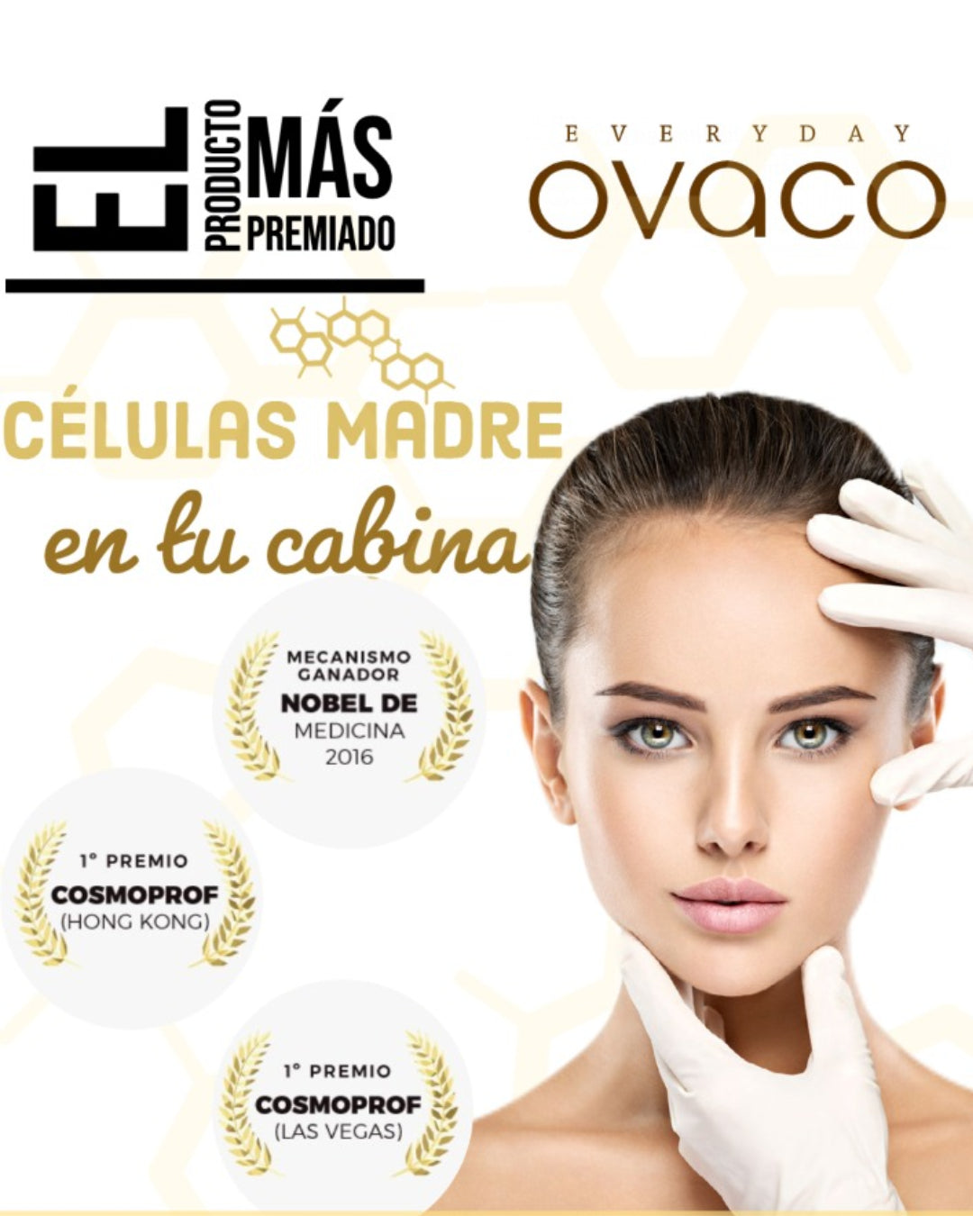 Kit y curso células madre